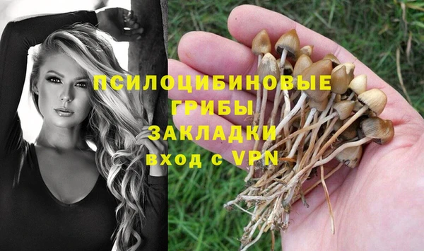 ECSTASY Майский