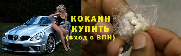 СК Медвежьегорск