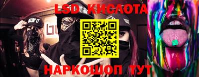 индика Гатчина