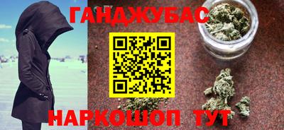 индика Гатчина