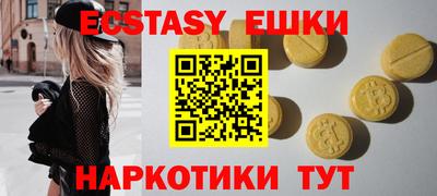 индика Гатчина