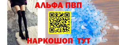 индика Гатчина