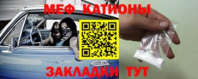 индика Гатчина