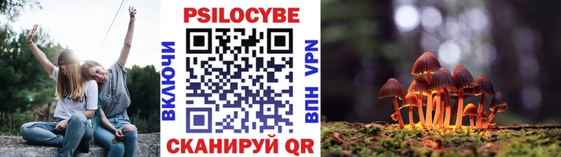 Галлюциногенные грибы Psilocybine cubensis Новомосковск