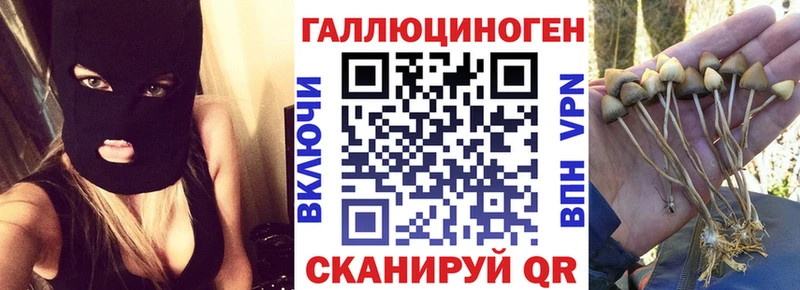 Галлюциногенные грибы мицелий  Новомосковск 