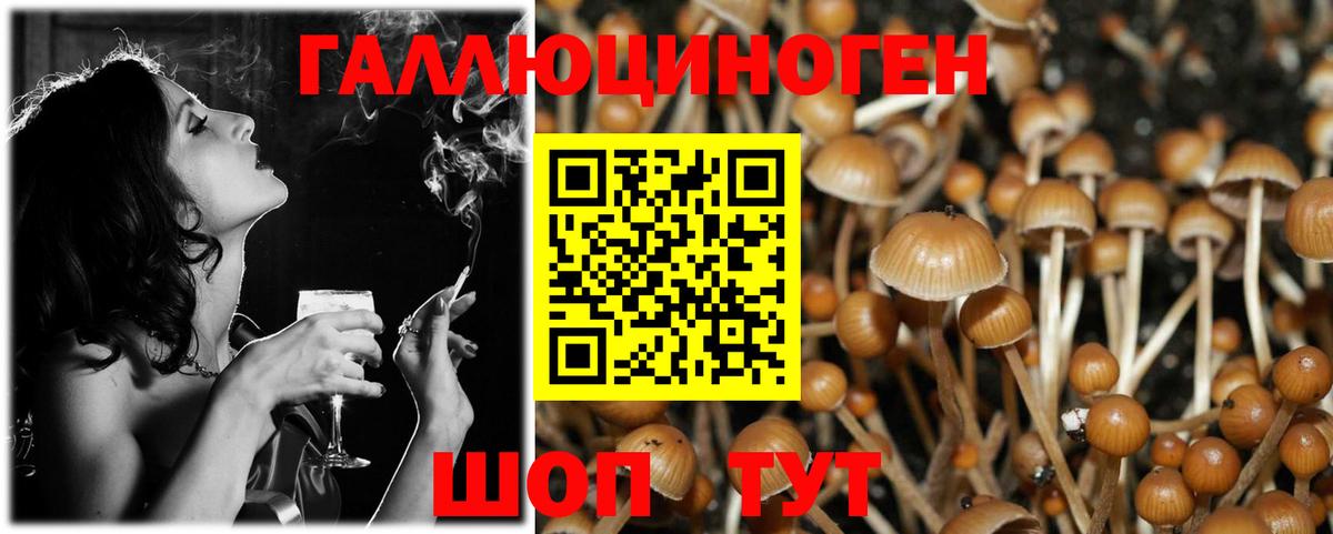 Псилоцибиновые грибы мухоморы  Вход с VPN  Новомосковск 
